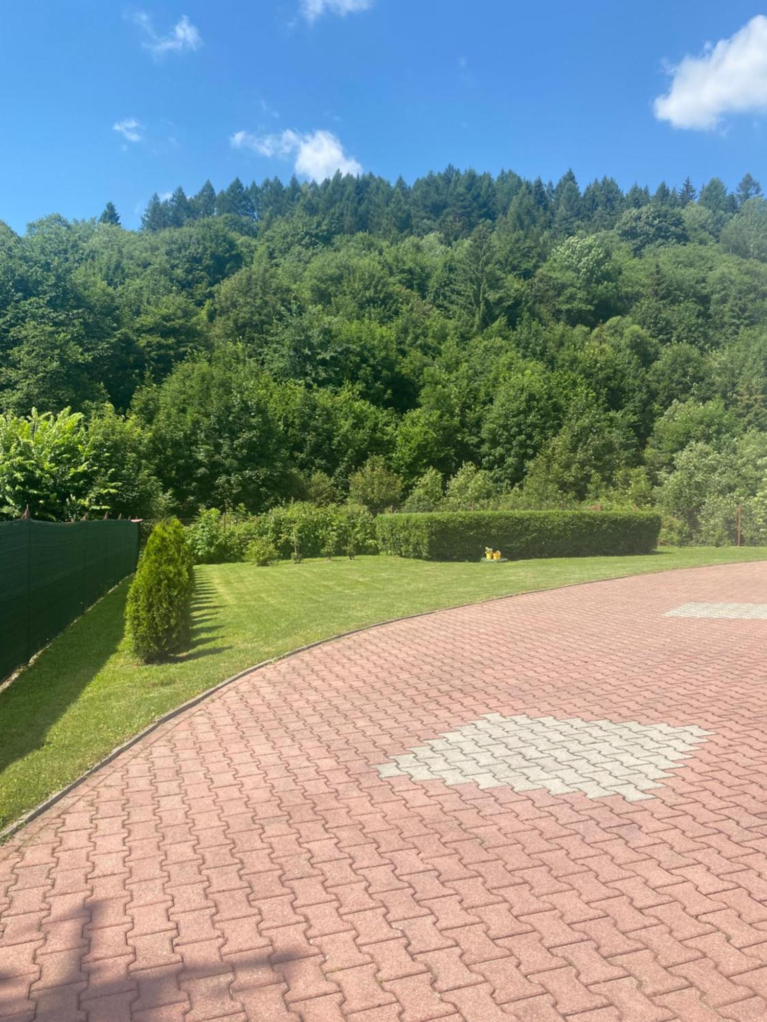 Ferienwohnung Apartament Nad Strumykiem Tylicz Exterior foto